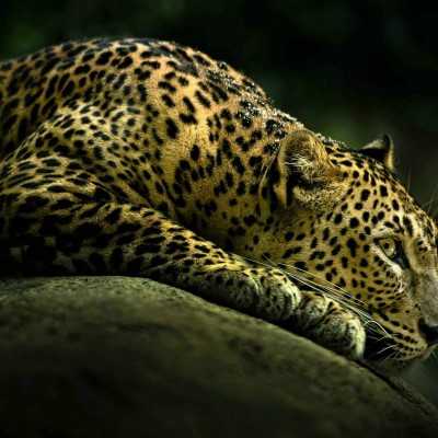 1920 x 1080 HD Wallpapers 2638